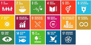 agenda 20 30 objetivos