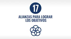 objetivo de desarrollo sostenible 17