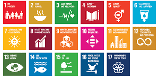 objetivos de desarrollo sostenible de las naciones unidas