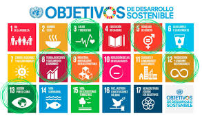 sostenible con el medio ambiente