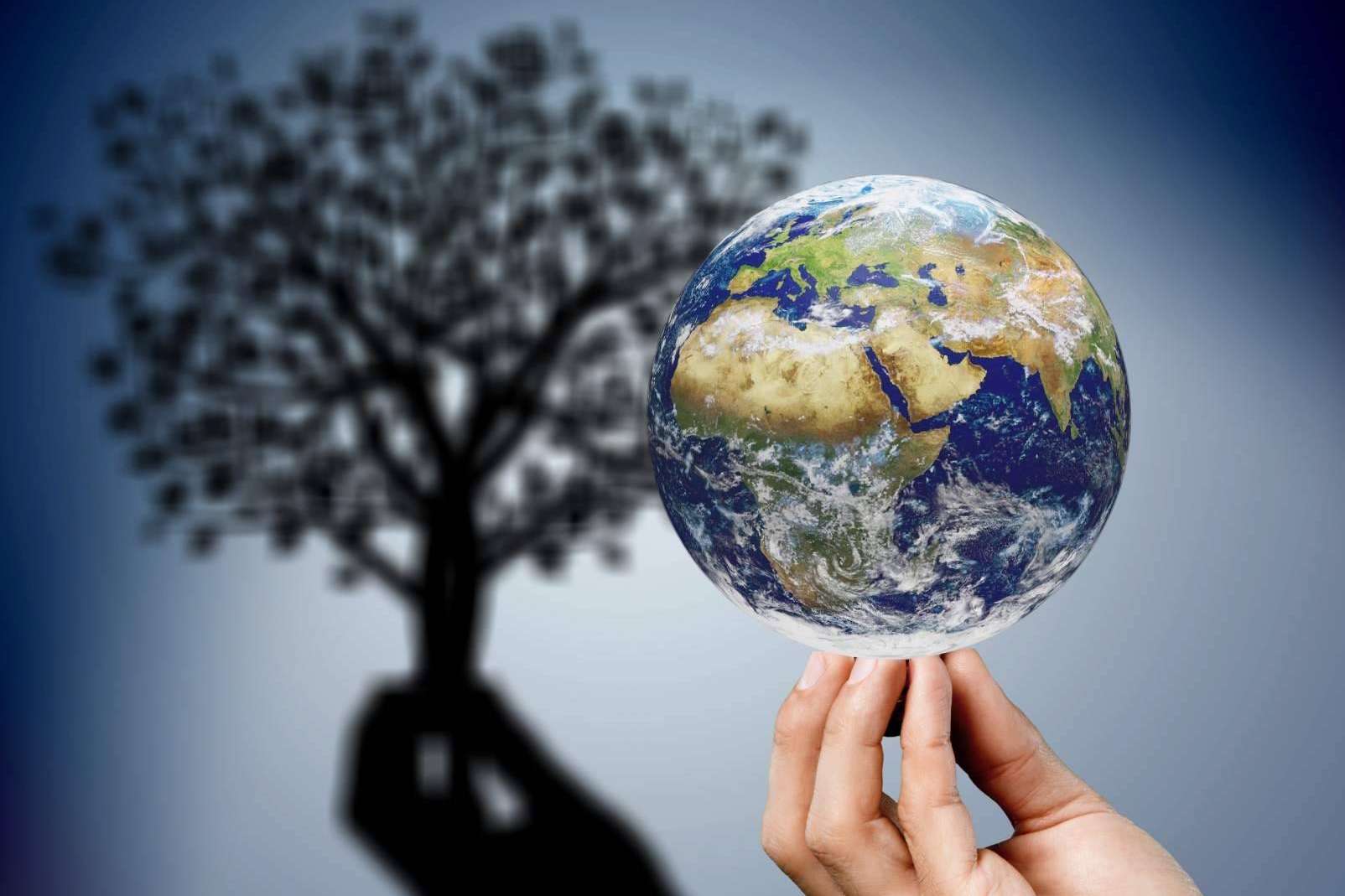 importancia de la sostenibilidad en las empresas