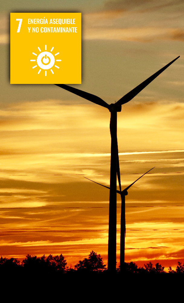 objetivo 7 de la agenda 2030