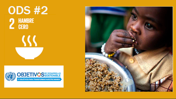 objetivos de desarrollo sostenible hambre cero