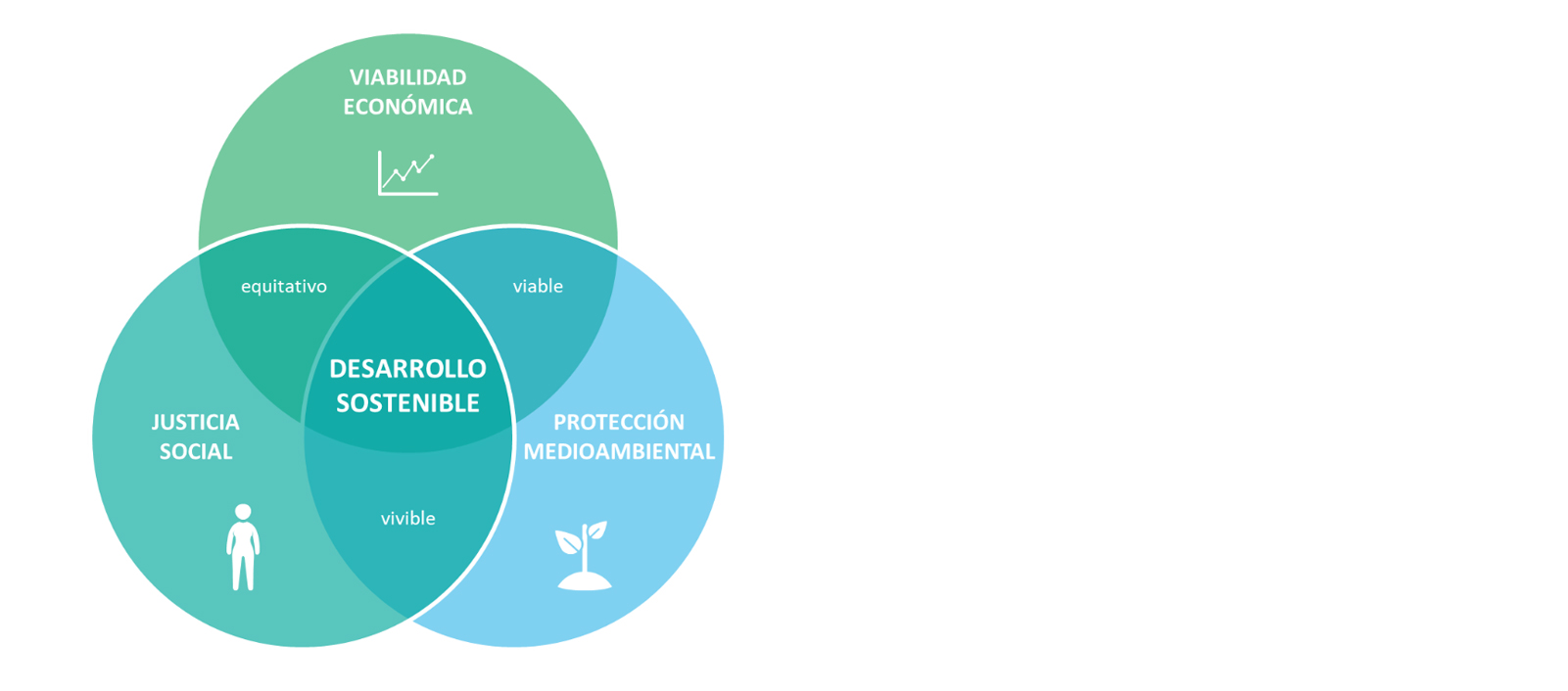 porque es importante la sostenibilidad