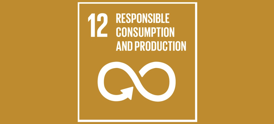 produccion y consumo sostenible