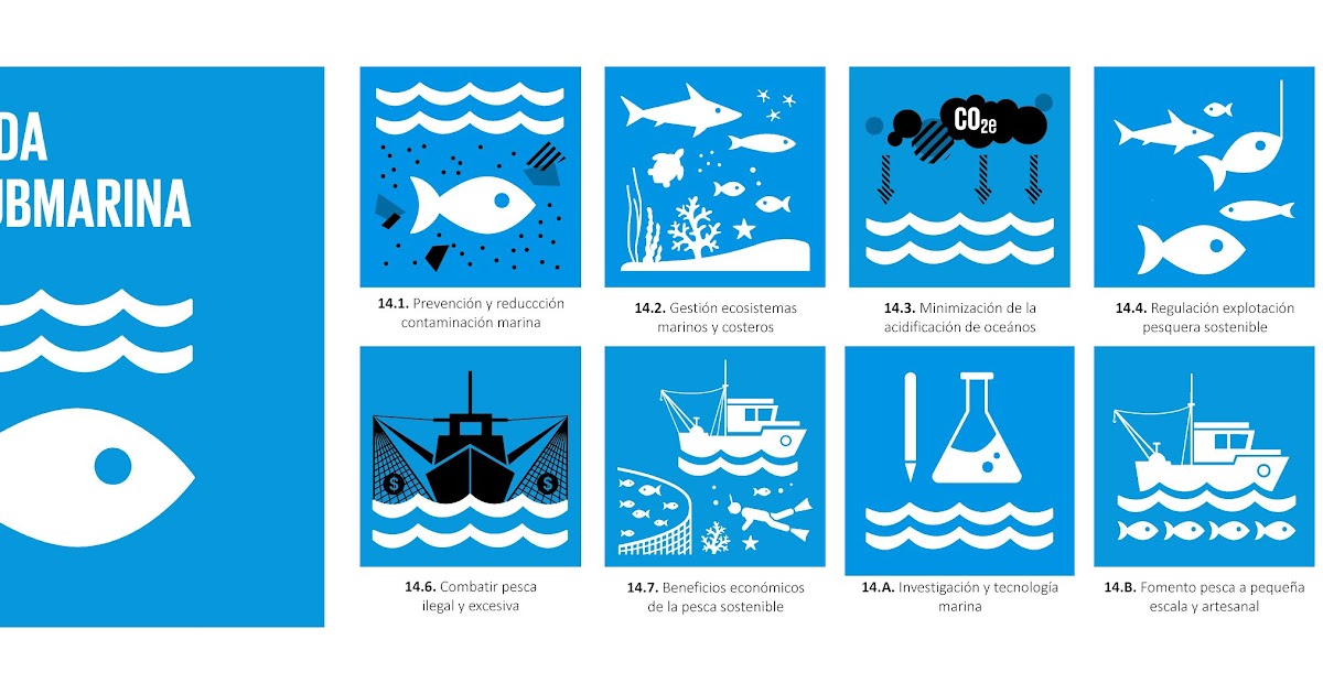 objetivo 14 de la agenda 2030
