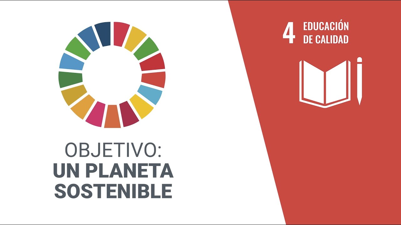 objetivo 4 de la agenda 2030