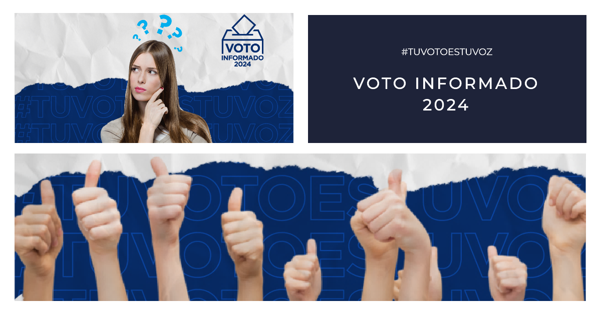 participacion ciudadana en las elecciones